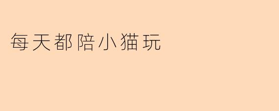 每天都陪小猫玩