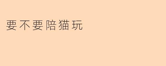 要不要陪猫玩