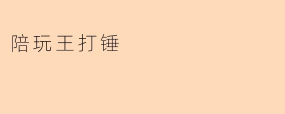 ### 陪玩王打锤:全新社交游戏的魅力