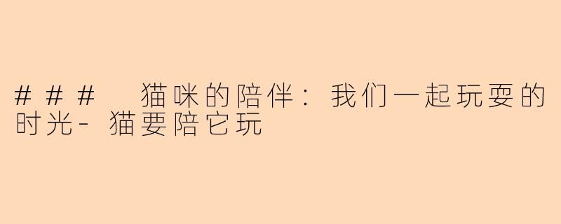 ### 猫咪的陪伴:我们一起玩耍的时光