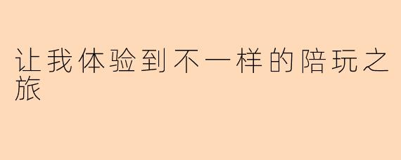 让我体验到不一样的陪玩之旅
