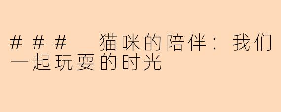 ### 猫咪的陪伴：我们一起玩耍的时光