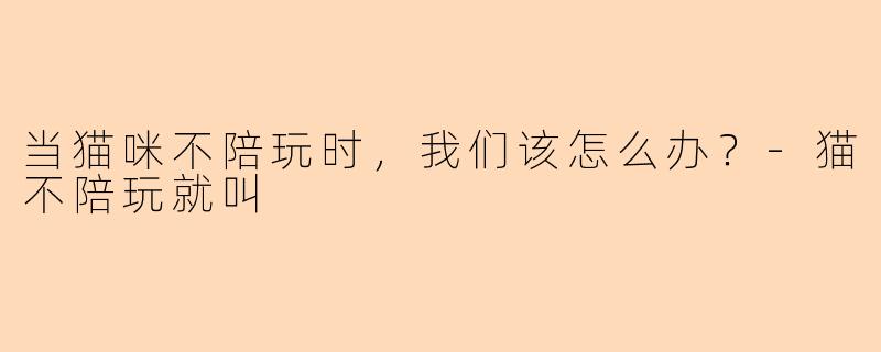 当猫咪不陪玩时，我们该怎么办？-猫不陪玩就叫