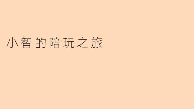 小智的陪玩之旅