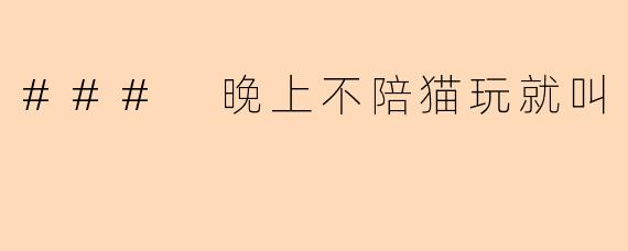 ### 晚上不陪猫玩就叫