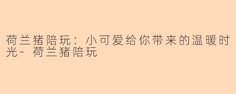 荷兰猪陪玩：小可爱给你带来的温暖时光-荷兰猪陪玩