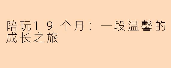 陪玩19个月：一段温馨的成长之旅