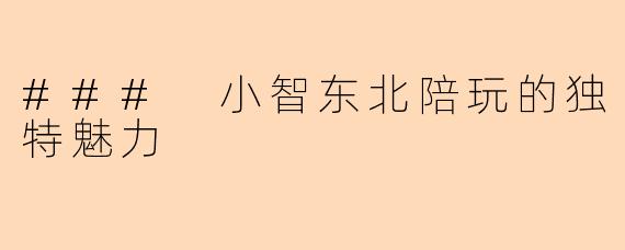 ### 小智东北陪玩的独特魅力