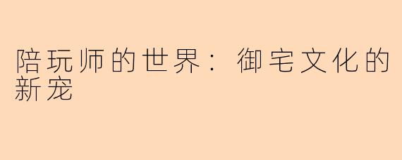 陪玩师的世界：御宅文化的新宠