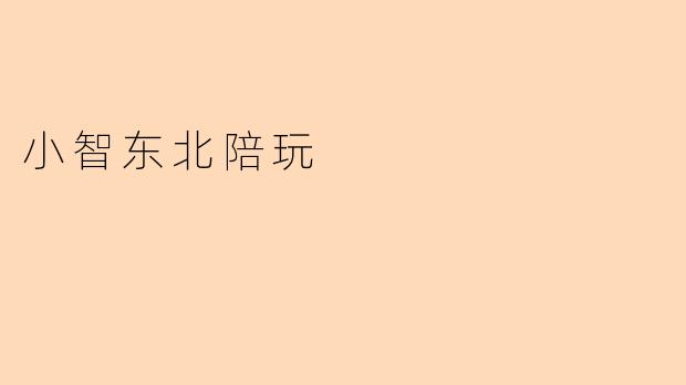 小智东北陪玩