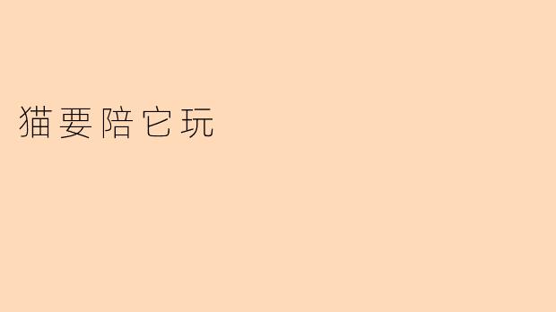 猫要陪它玩