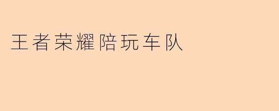 王者荣耀陪玩车队