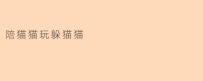 陪猫猫玩躲猫猫
