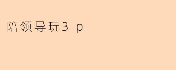 陪领导玩3p