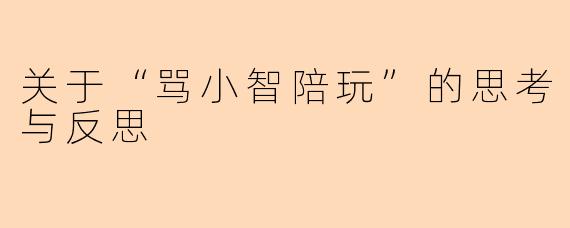 关于“骂小智陪玩”的思考与反思