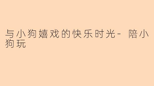与小狗嬉戏的快乐时光-陪小狗玩