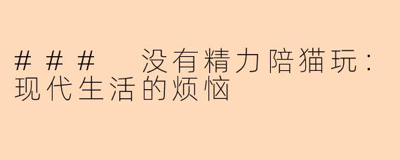 ### 没有精力陪猫玩：现代生活的烦恼
