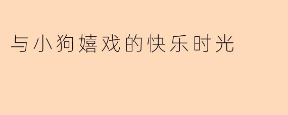 与小狗嬉戏的快乐时光
