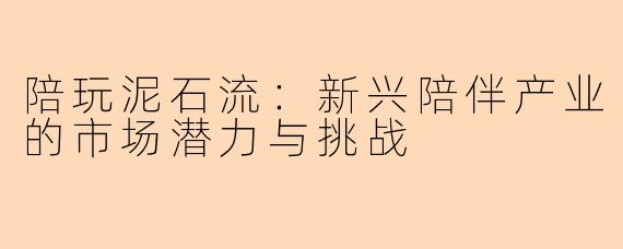 陪玩泥石流：新兴陪伴产业的市场潜力与挑战