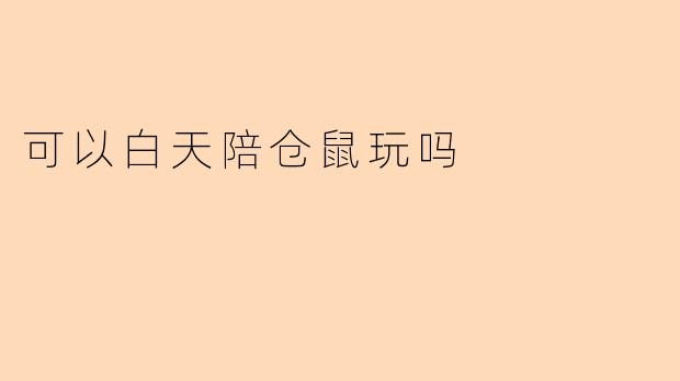 可以白天陪仓鼠玩吗
