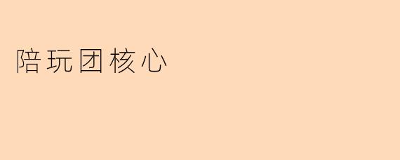陪玩团核心