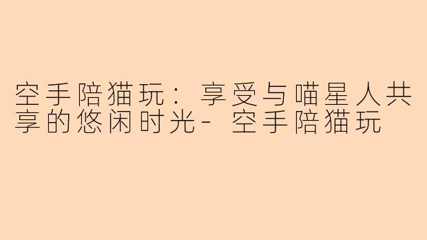 空手陪猫玩：享受与喵星人共享的悠闲时光-空手陪猫玩