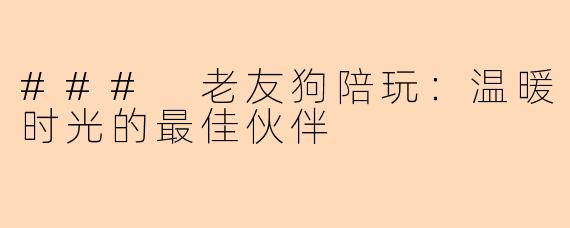 ### 老友狗陪玩：温暖时光的最佳伙伴