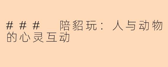 ### 陪貂玩:人与动物的心灵互动