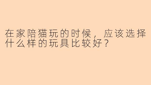 在家陪猫玩的时候，应该选择什么样的玩具比较好？