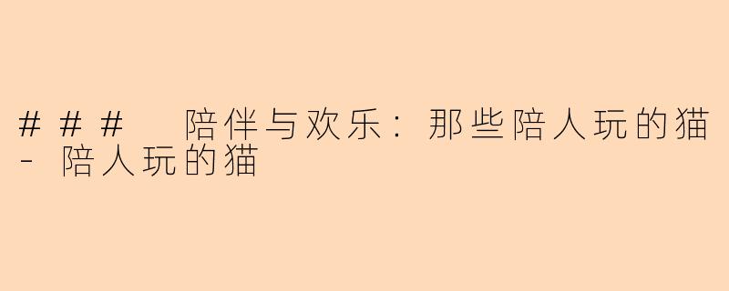 ### 陪伴与欢乐：那些陪人玩的猫
