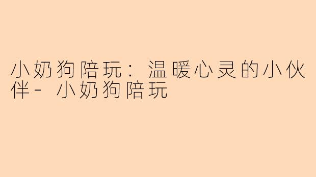 小奶狗陪玩：温暖心灵的小伙伴