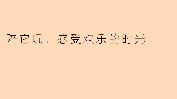 陪它玩，感受欢乐的时光