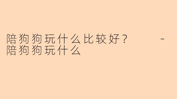 陪狗狗玩什么比较好？  