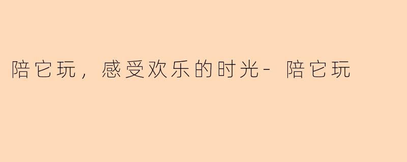 陪它玩，感受欢乐的时光-陪它玩