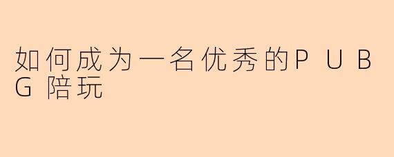 如何成为一名优秀的PUBG陪玩