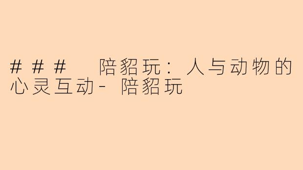 ### 陪貂玩:人与动物的心灵互动-陪貂玩