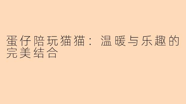 蛋仔陪玩猫猫：温暖与乐趣的完美结合