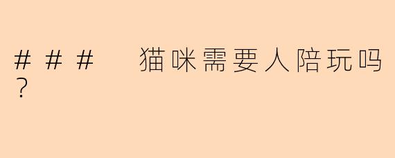 ### 猫咪需要人陪玩吗？