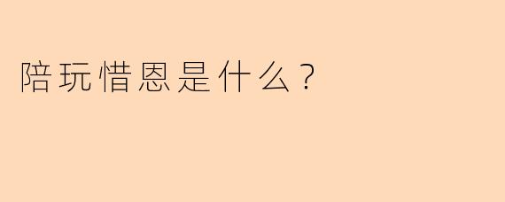 陪玩惜恩是什么？