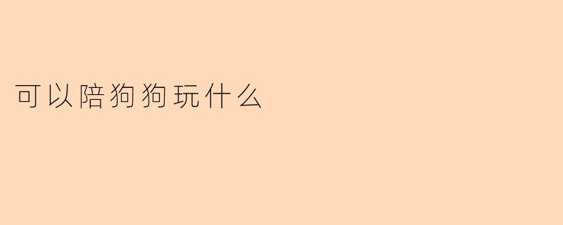 可以陪狗狗玩什么