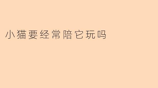 小猫要经常陪它玩吗