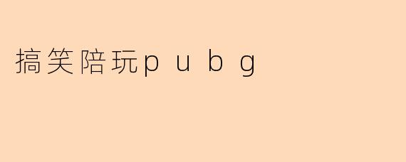 为什么玩PUBG时找陪玩总是要搞笑的？****