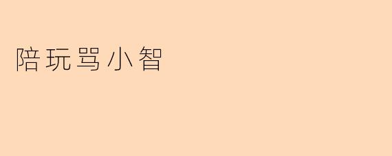 陪玩骂小智