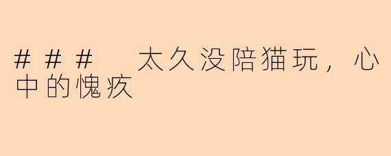 ### 太久没陪猫玩，心中的愧疚