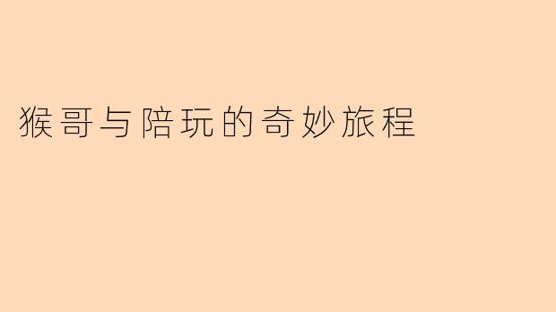 猴哥与陪玩的奇妙旅程