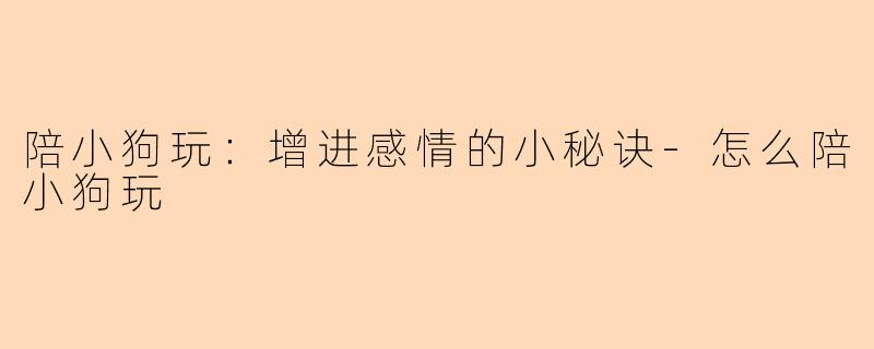陪小狗玩：增进感情的小秘诀-怎么陪小狗玩