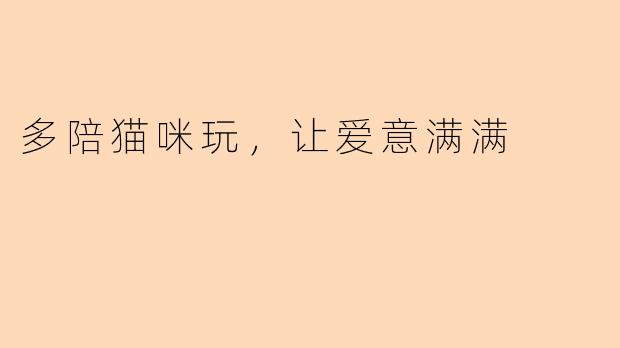 多陪猫咪玩，让爱意满满
