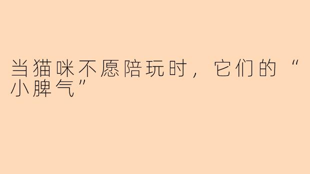 当猫咪不愿陪玩时，它们的“小脾气”