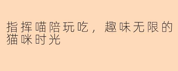 指挥喵陪玩吃，趣味无限的猫咪时光