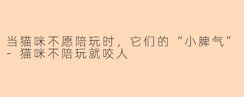 当猫咪不愿陪玩时，它们的“小脾气”-猫咪不陪玩就咬人